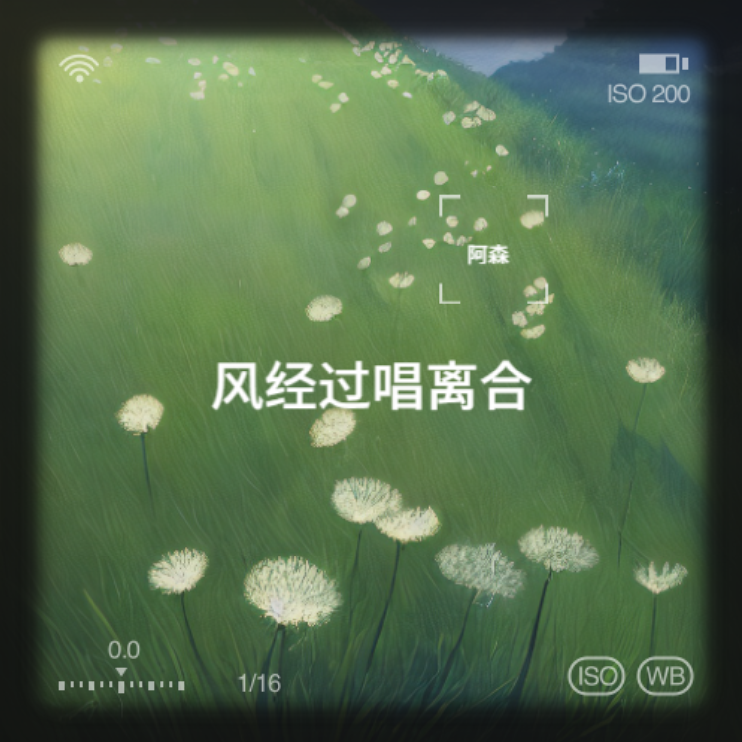 风经过告诉我