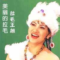 拉毛王旭 - 我的家在橄榄坝(原版立体声伴奏)