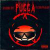 brandon dxf - PUCCA