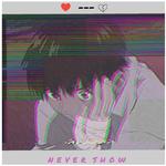 NEVER SHOW专辑