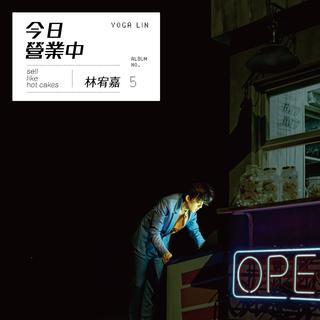 林宥嘉idol上海站5.11
