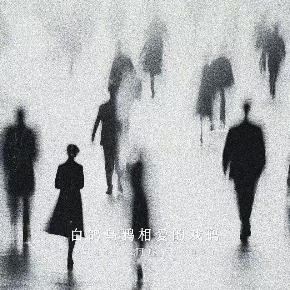 白鸽乌鸦相爱的戏码