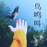 大自然的母亲-陌筱青 (筱青系列轻音乐)