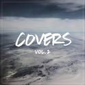 Covers, Vol. 2专辑