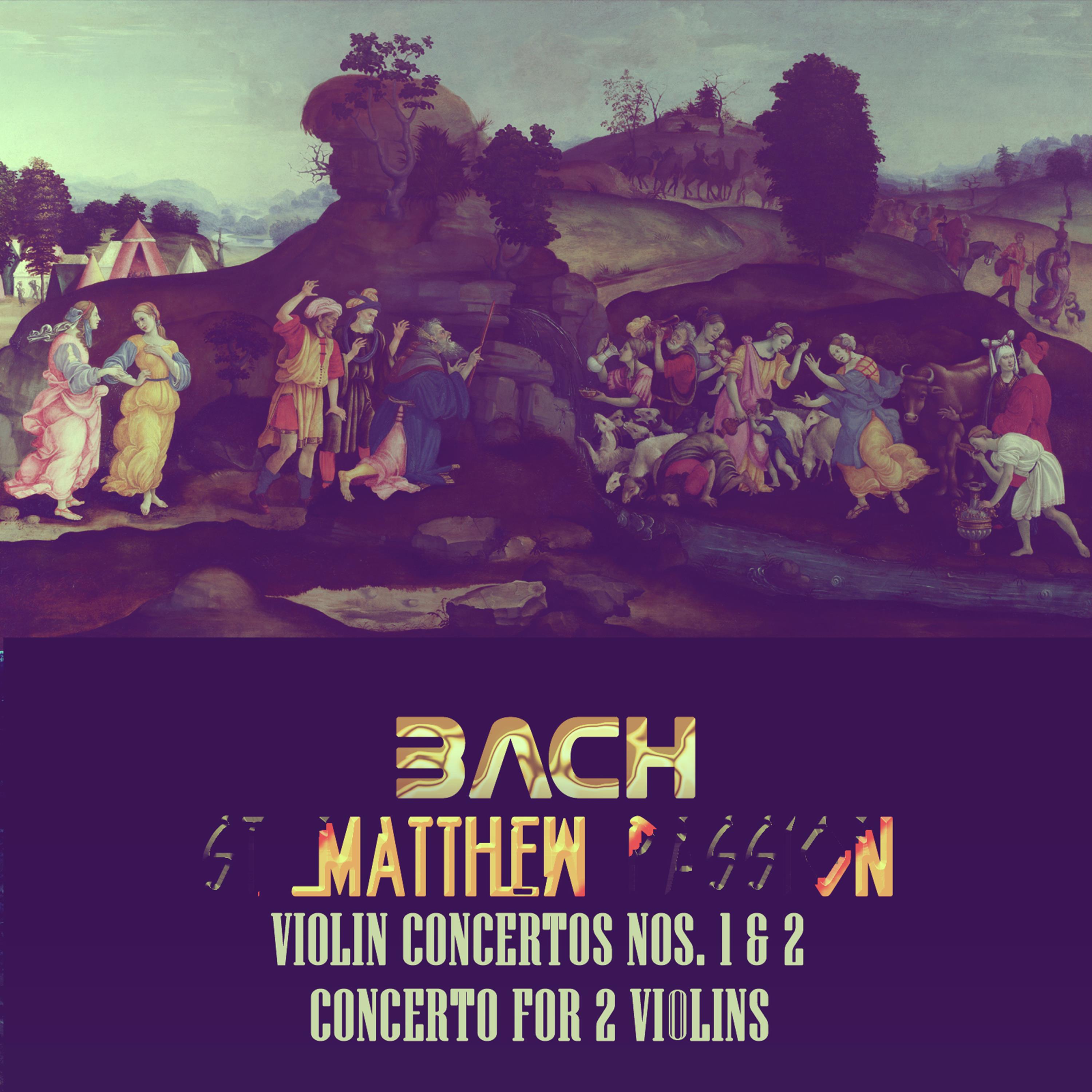 Arthur Ackroyd - St Matthew Passion, BWV 244, Part II: No. 41, Arie - Geduld, Wenn Mich Falsche Zungen Stechen (Tenor, Viola Da Gamba, Continuo)
