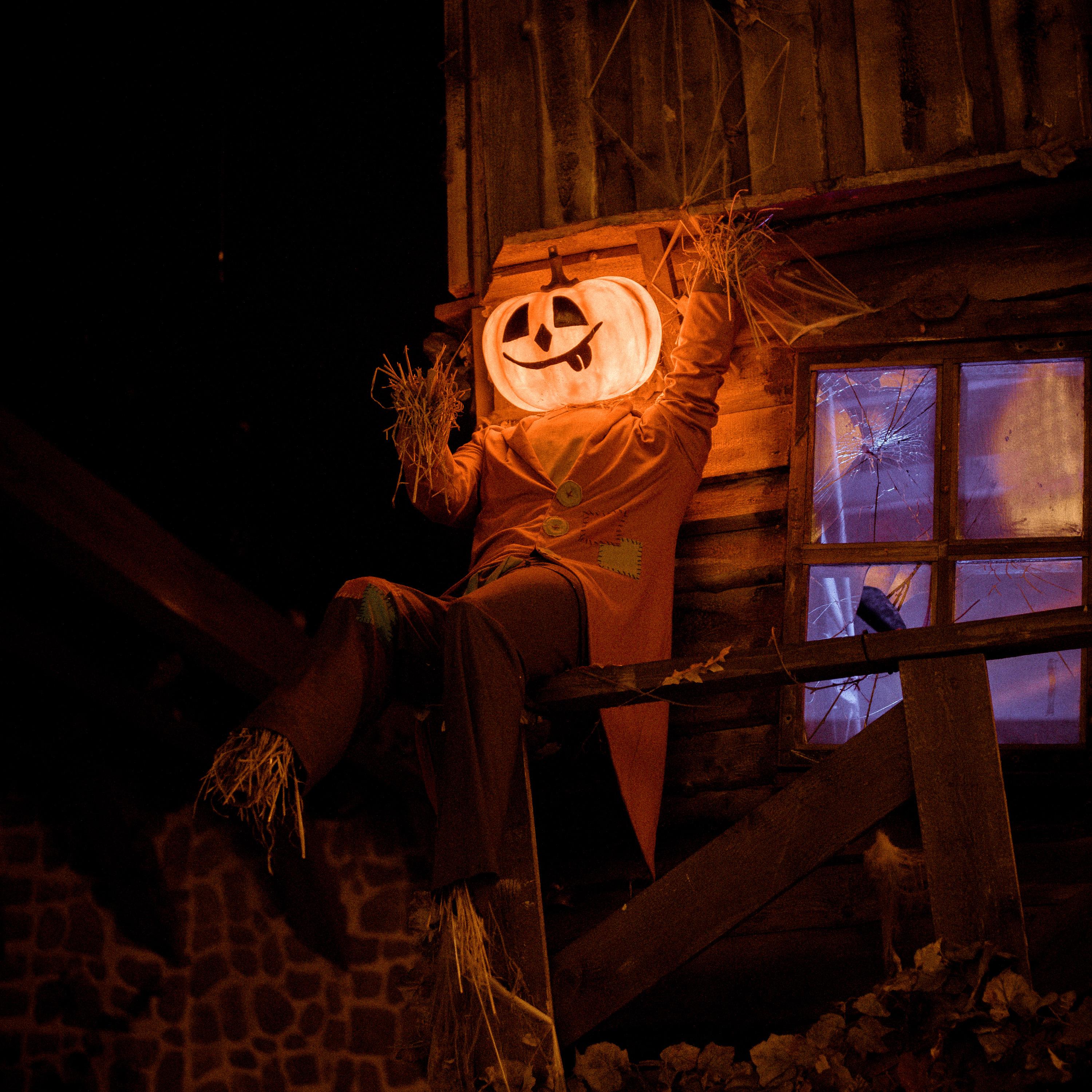 Horror Thriller