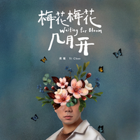 刘超华 - 梅花腊月开(原版立体声伴奏)