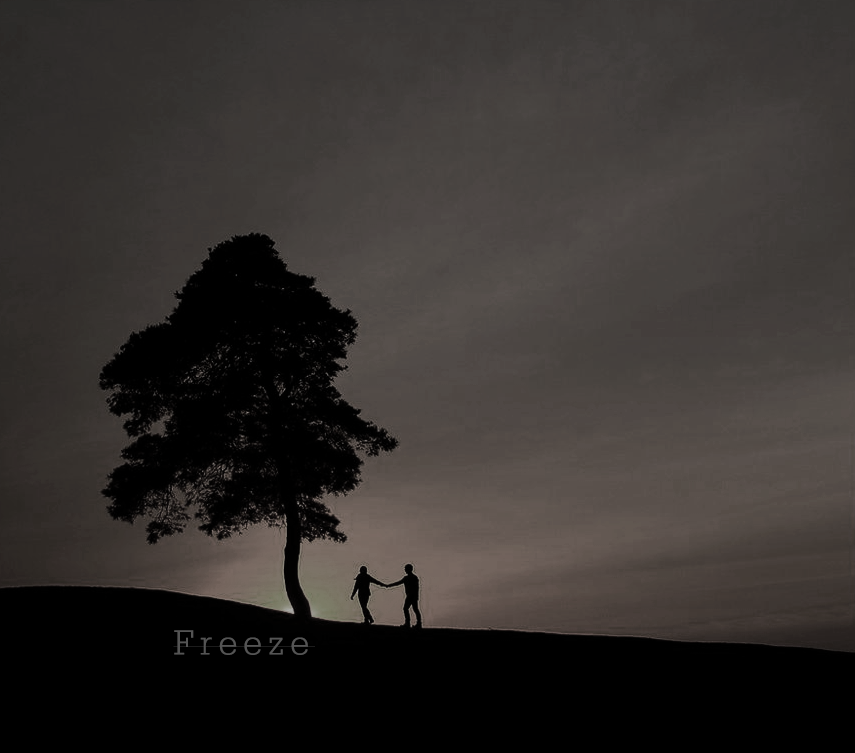 Freeze