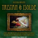 Tristan & Isolde - Vol. 4专辑