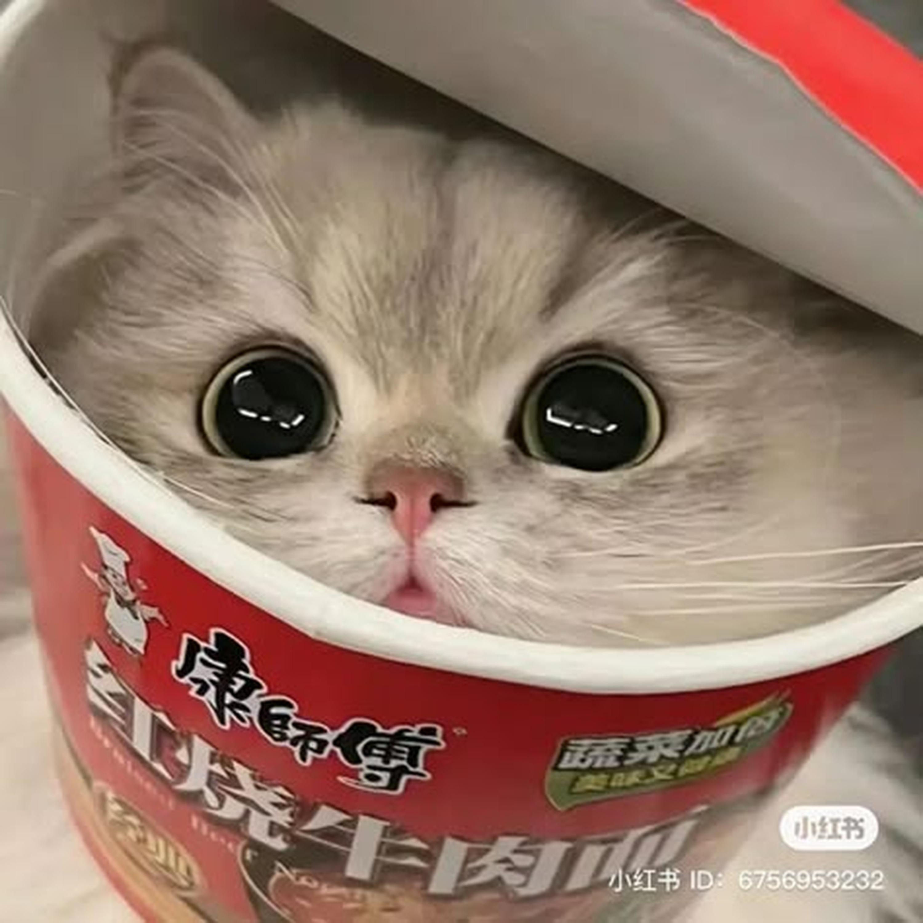 Dance 4 Eternity (slowed)