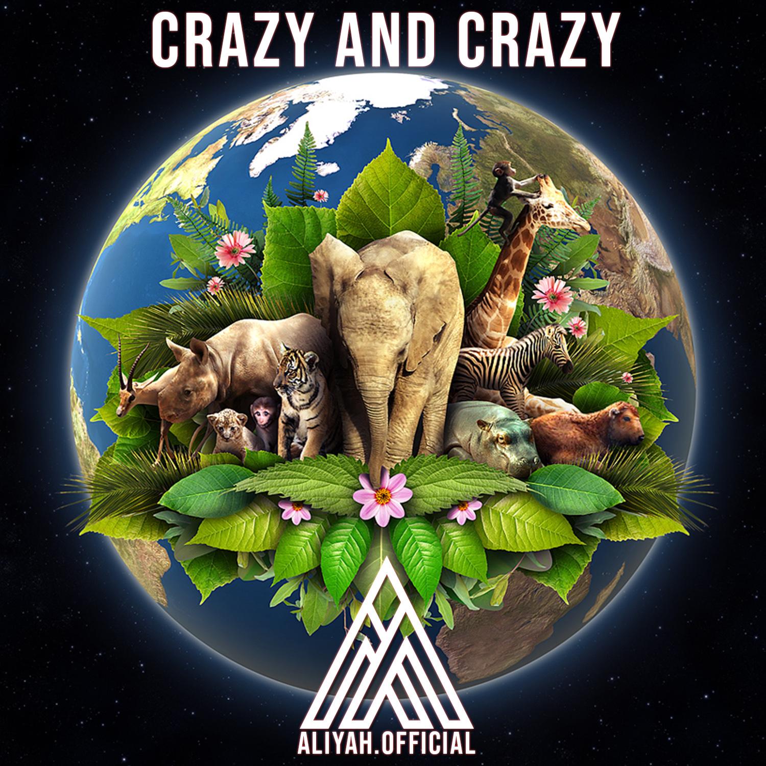 Crazy And Crazy