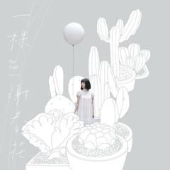 谢春花《失重感吉他谱》降B调_完美编曲设计