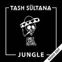 Jungle (Radio Edit)专辑