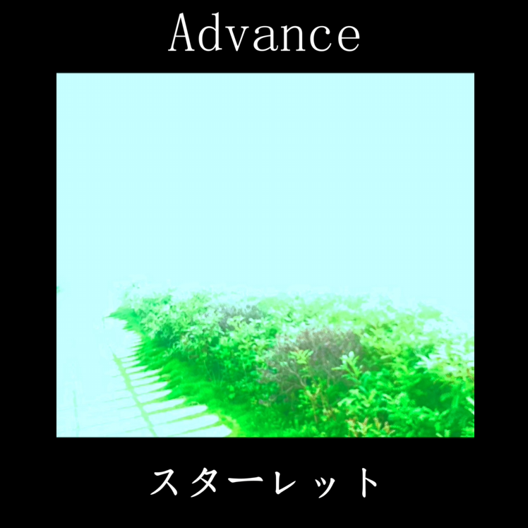 Advance专辑