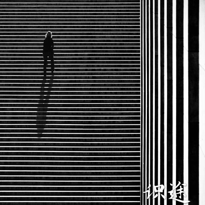 识途专辑