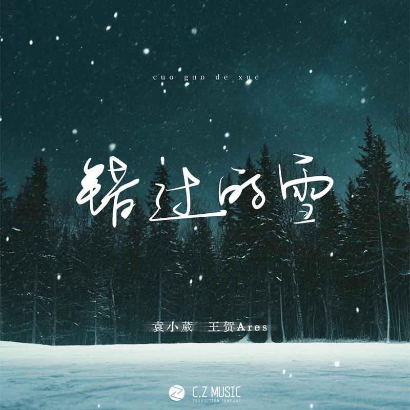 错过的雪