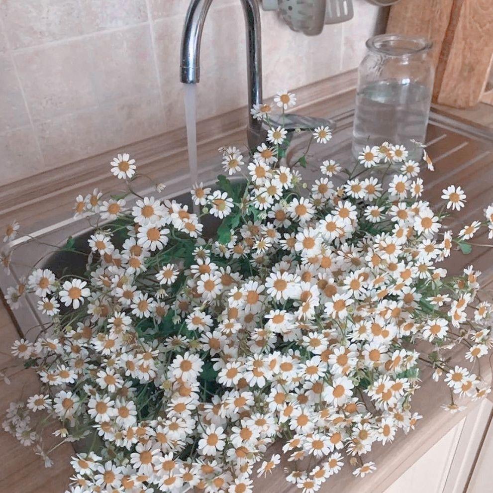 喧夏 (Sample this)