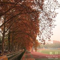 感恩金秋迎来大丰收(降B调有旋律伴奏)