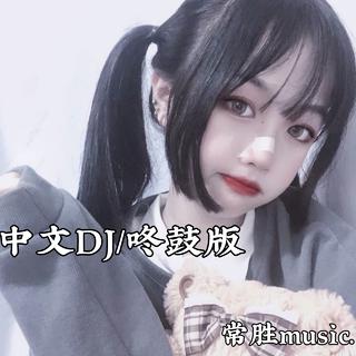 中文DJ/咚鼓版/弹鼓版（Remix）