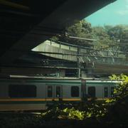 树离suliii_