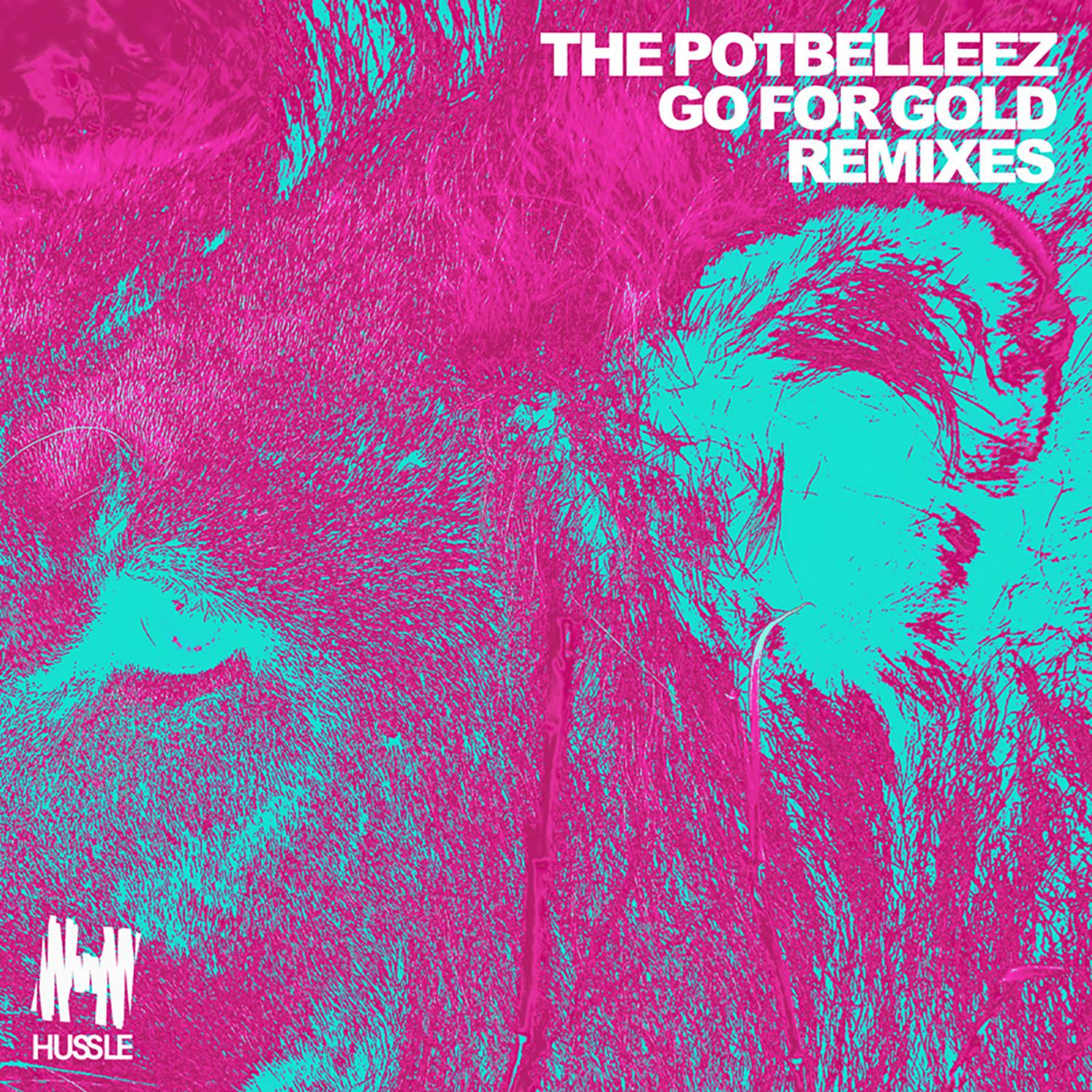 The Potbelleez - Go for Gold (Modern Citizens Remix)