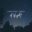 Soothing Tunes at Night - Jazz Soft Songs, Soothing Jazz & Relax, Mellow Jazz for Pure Relaxation, G