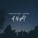 Soothing Tunes at Night - Jazz Soft Songs, Soothing Jazz & Relax, Mellow Jazz for Pure Relaxation, G专辑