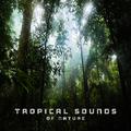 Tropical Sounds of Nature