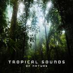 Tropical Sounds of Nature专辑