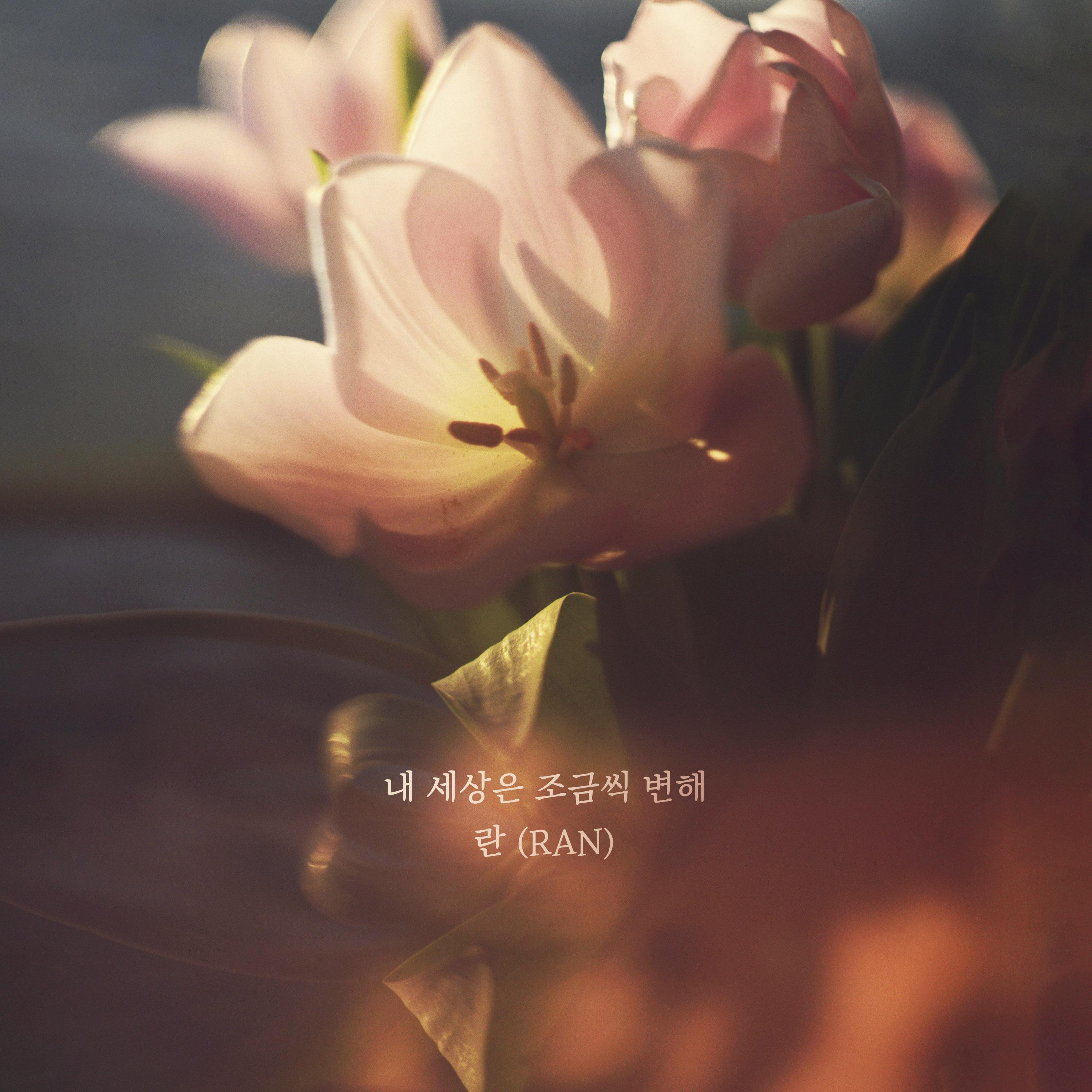 내 세상은 조금씩 변해