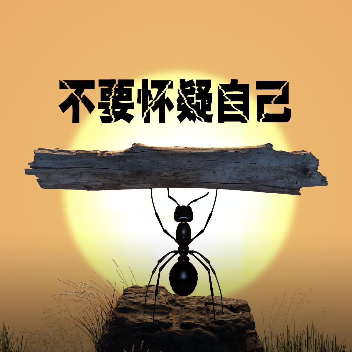 不要怀疑自己