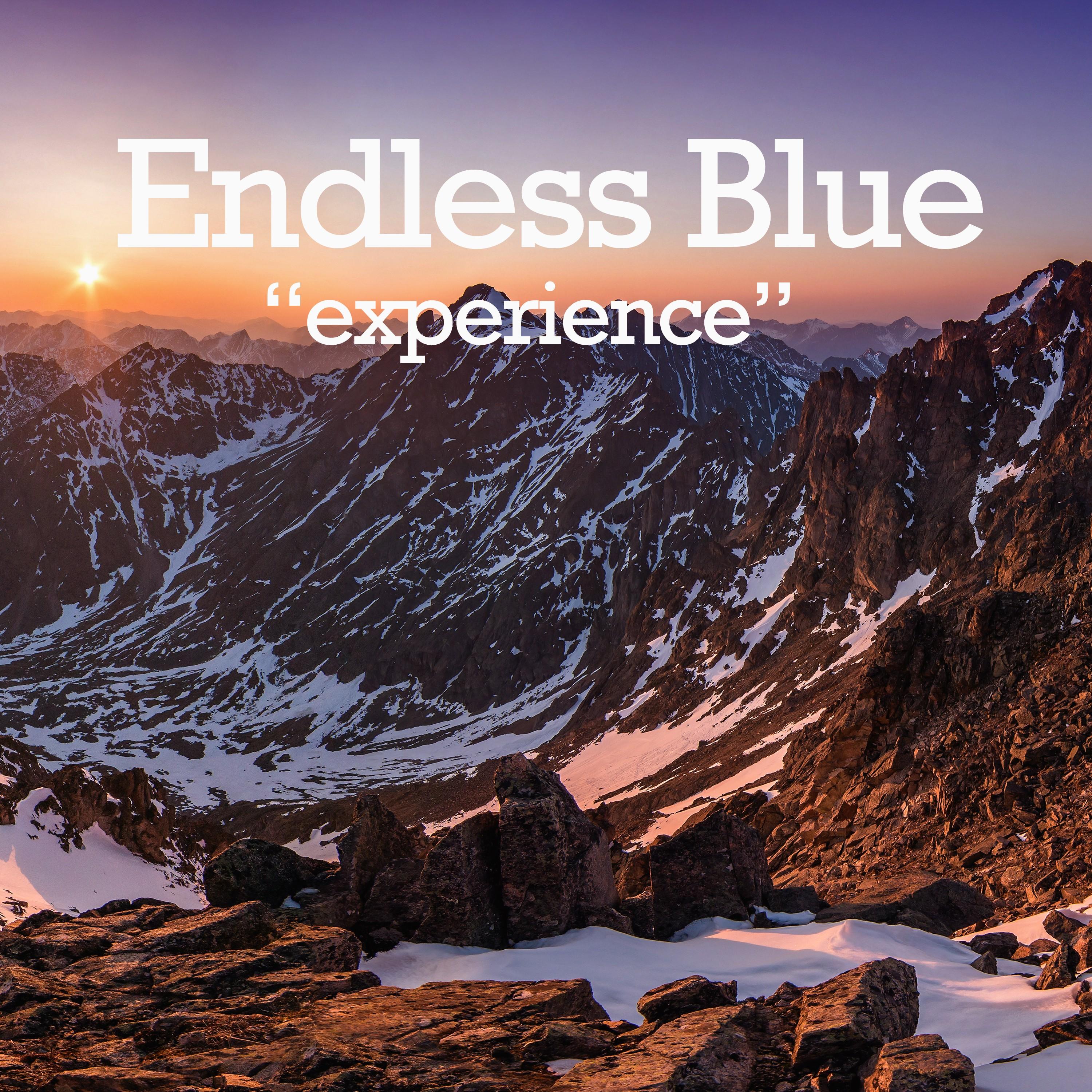 Experience
