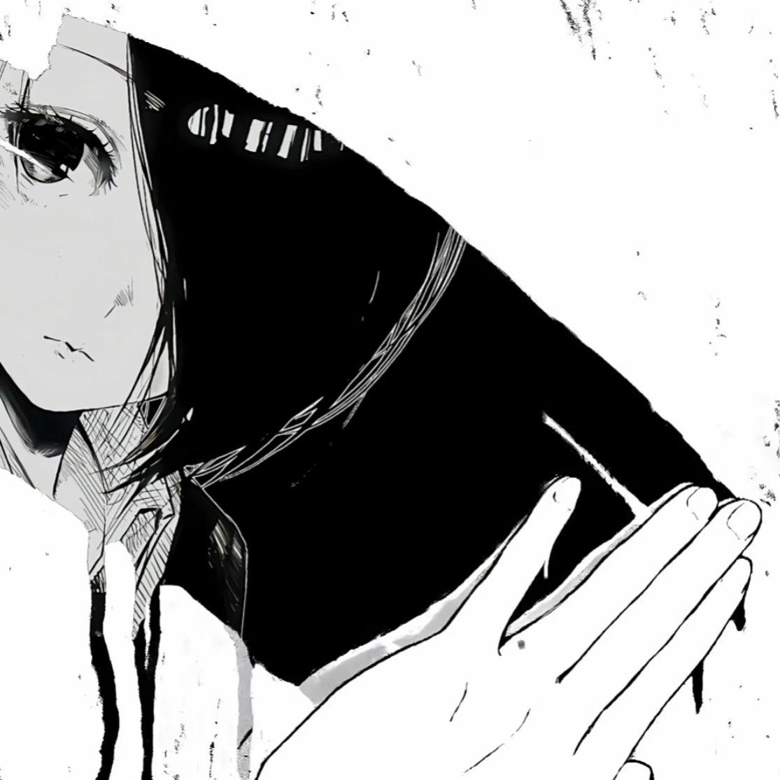 飞鸟专辑