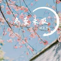 一曲相思(2019时尚嘉宾电音舞曲慢嗨版女版试听)