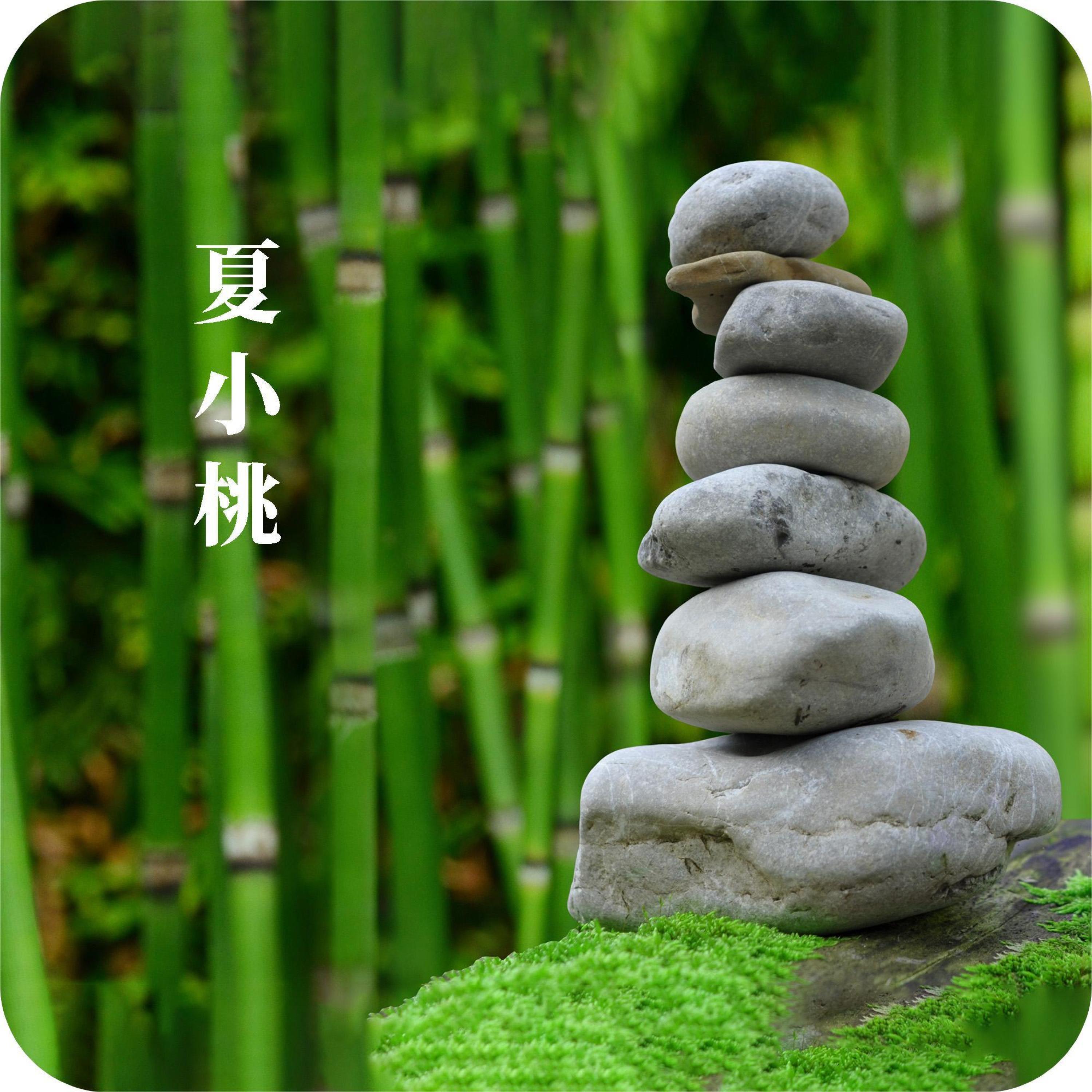 柔美吹箫 按摩SPA耳间放松 清新雅致