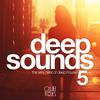Deep Sounds (Mixed by Amfree) [Contiuous DJ Mix]