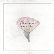 Anemone - single collection -