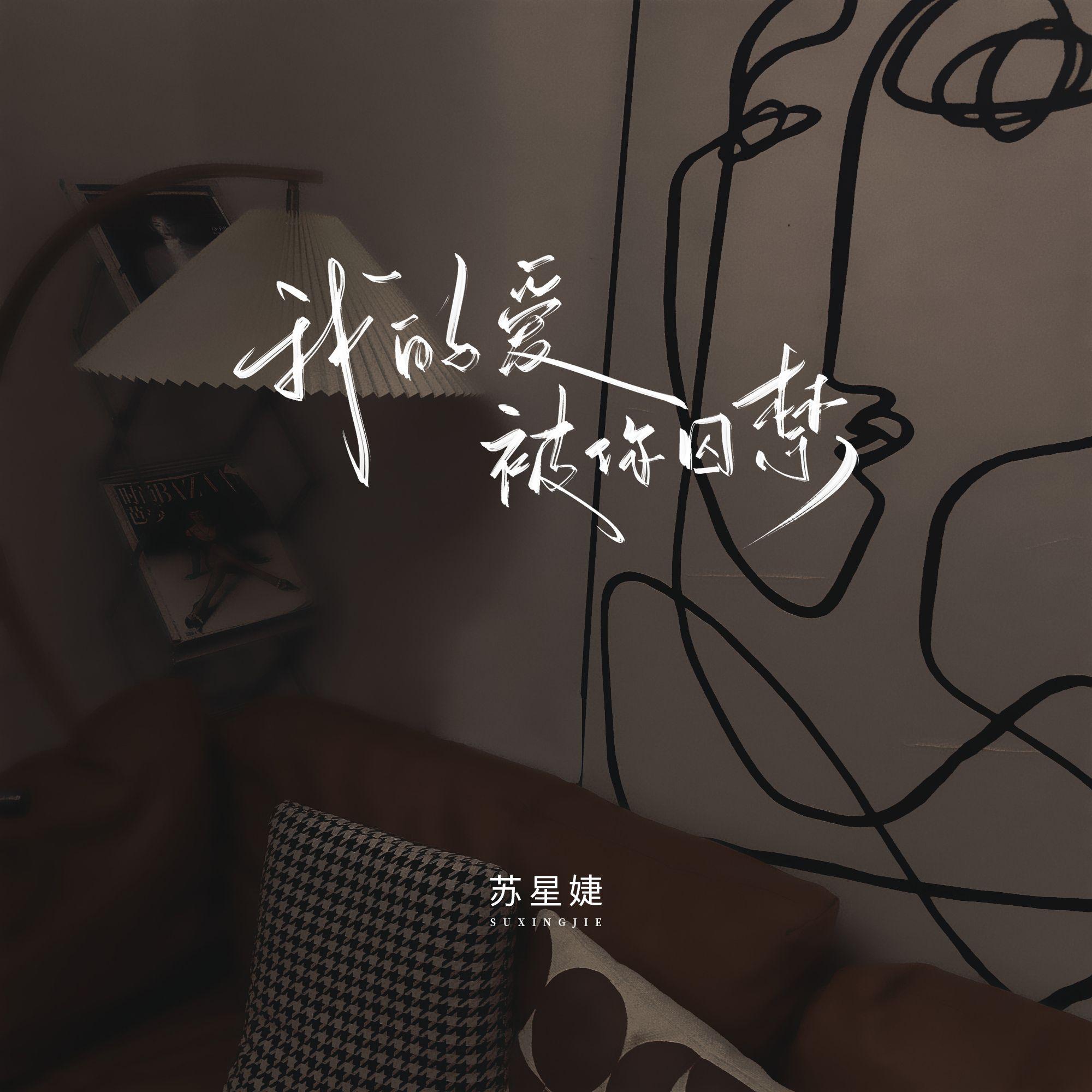 我的爱被你囚禁