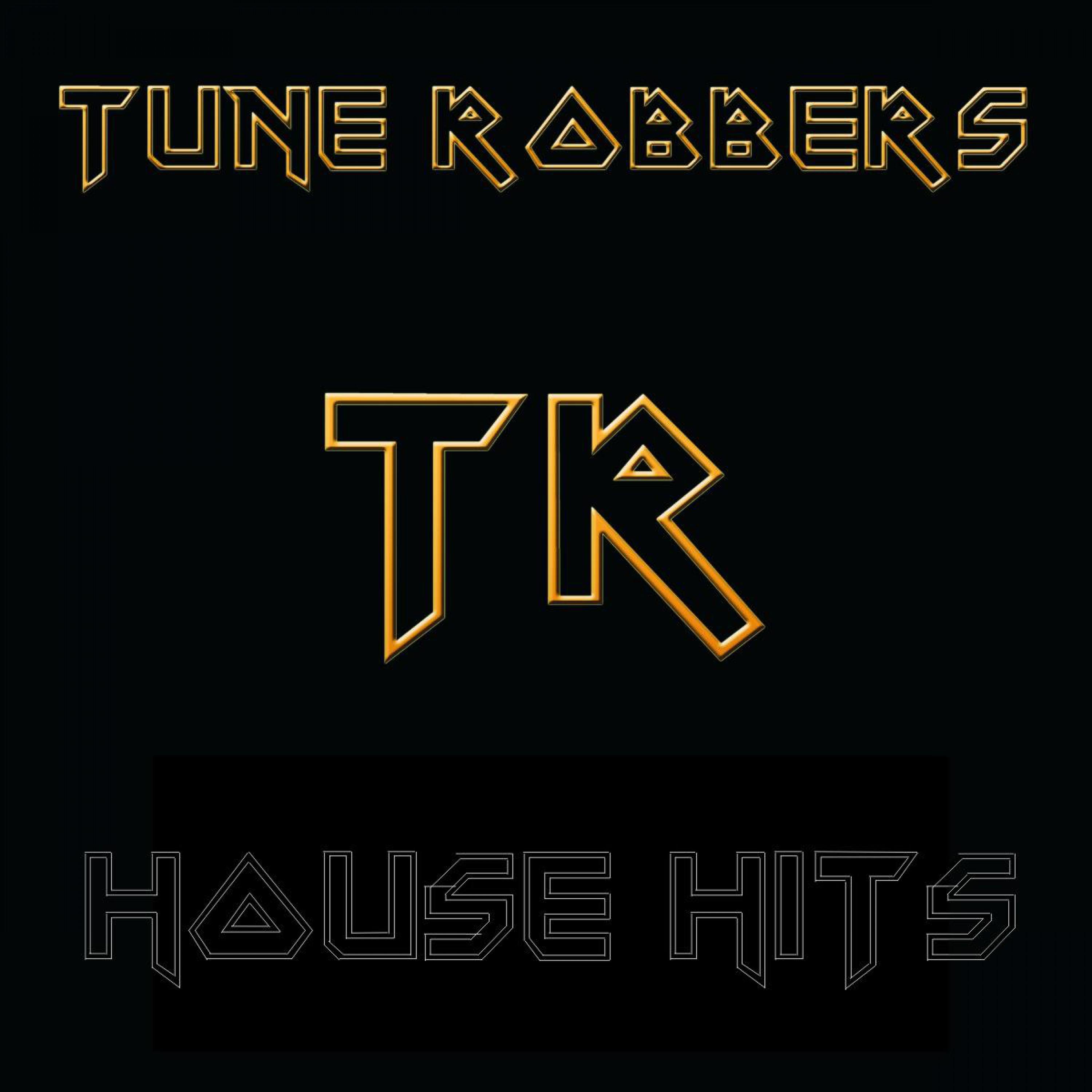 House Hits Performed by the Tune Robbers