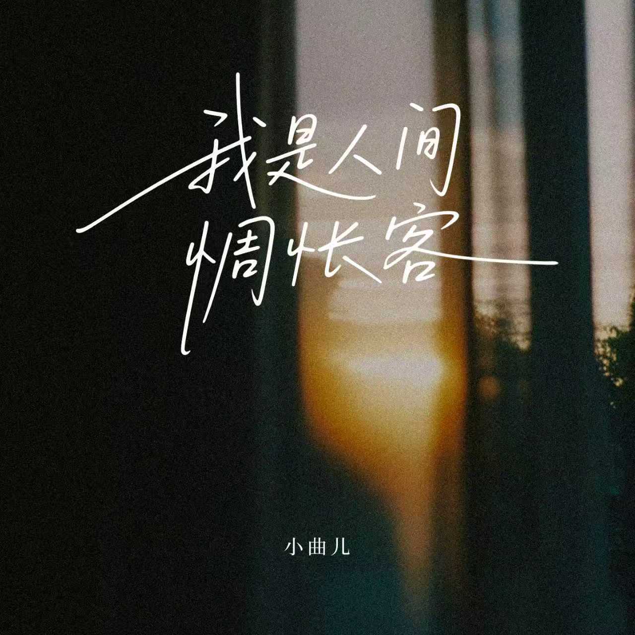 我是人间惆怅客（深情版）