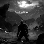 Burning Down (Austin Ravenll Remix)专辑