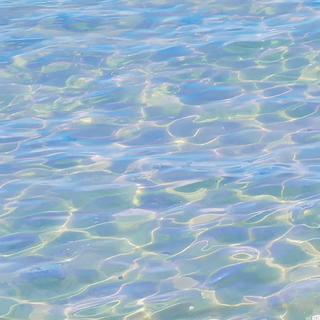 纯音乐 | 生活细碎，万物成诗