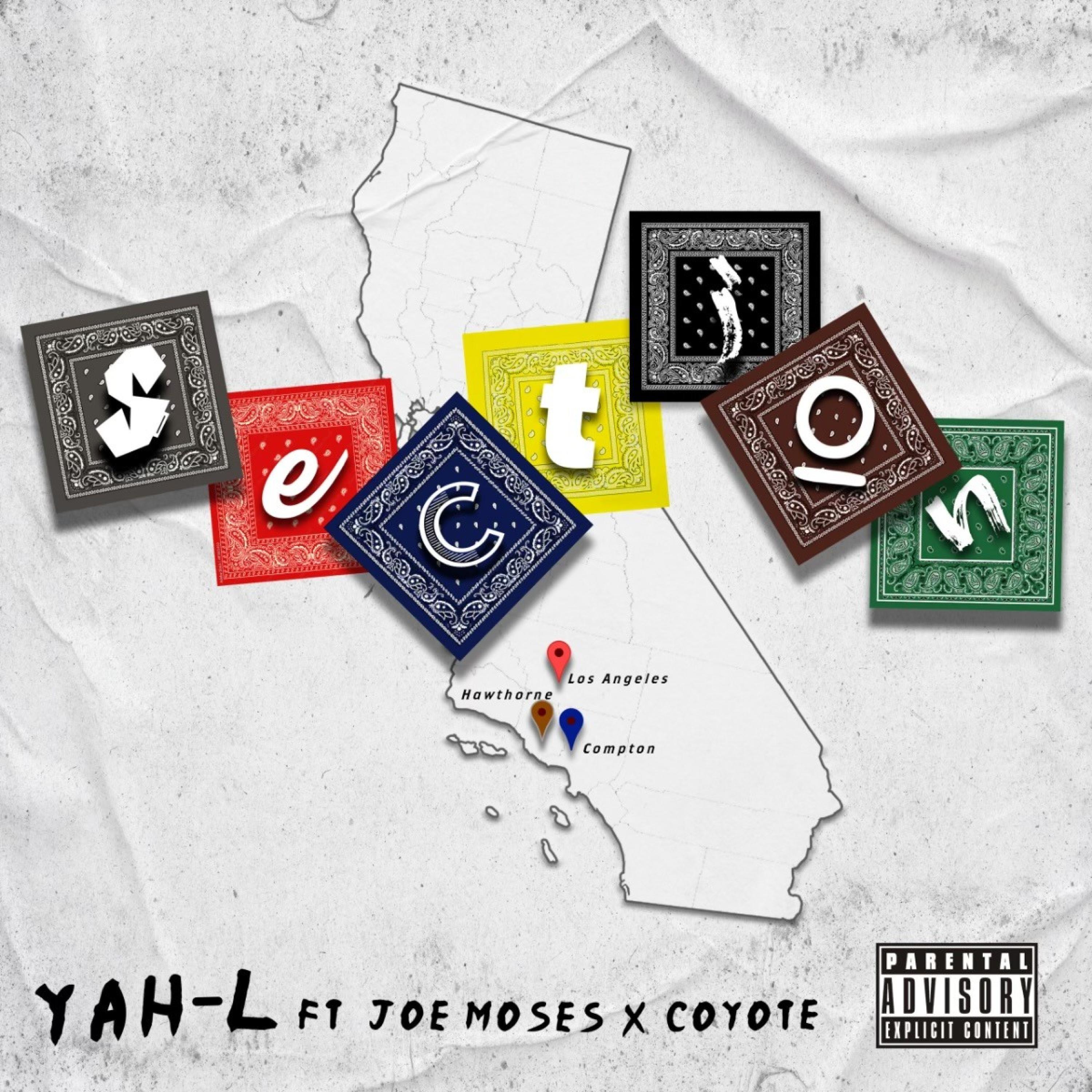 SECTION (feat. JOE MOSES & COYOTE) [Radio Edit]