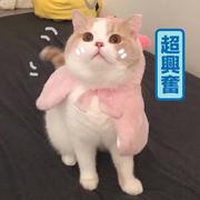 岁月神偷