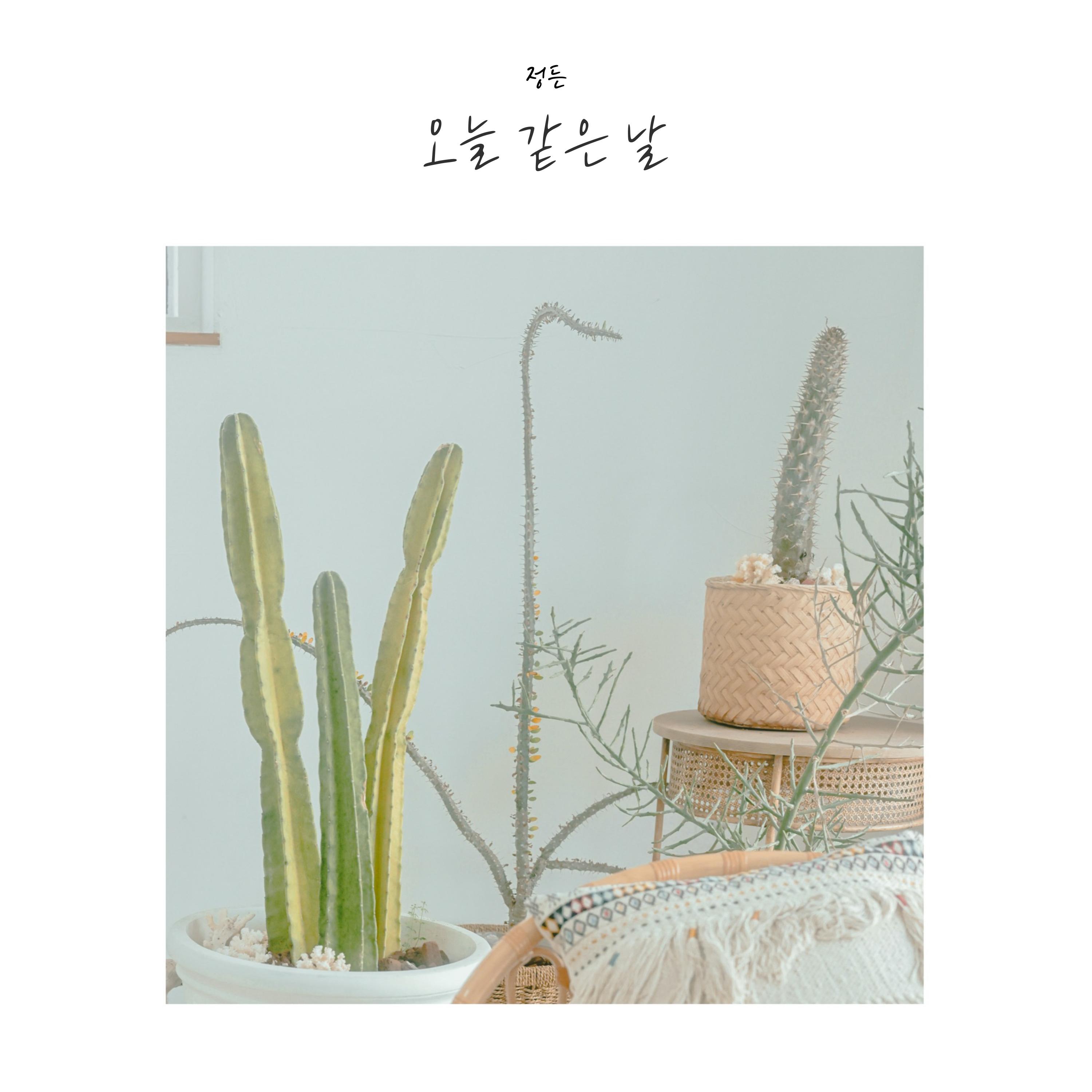 오늘 같은 날