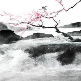 【世界•经典】流水如有意 暮禽相与还