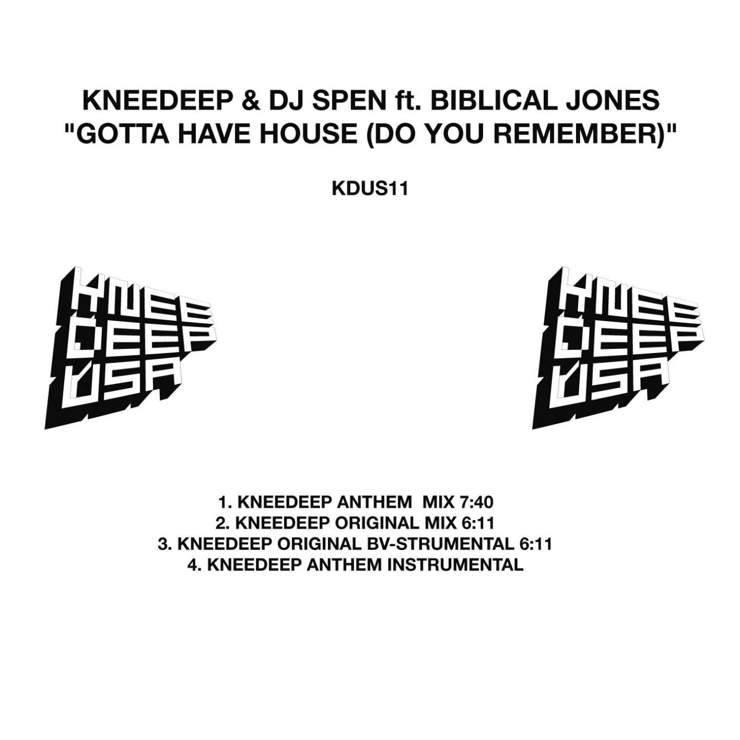 Gotta Have House (Do You Remember)