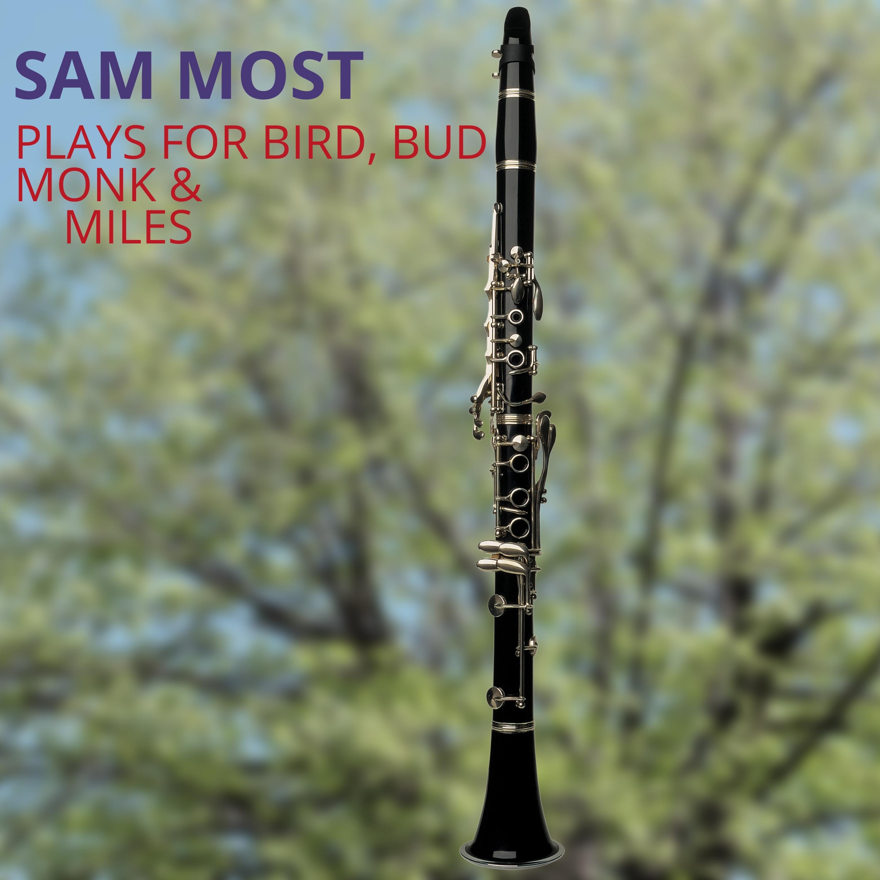 Plays Bird, Bud, Monk and Miles