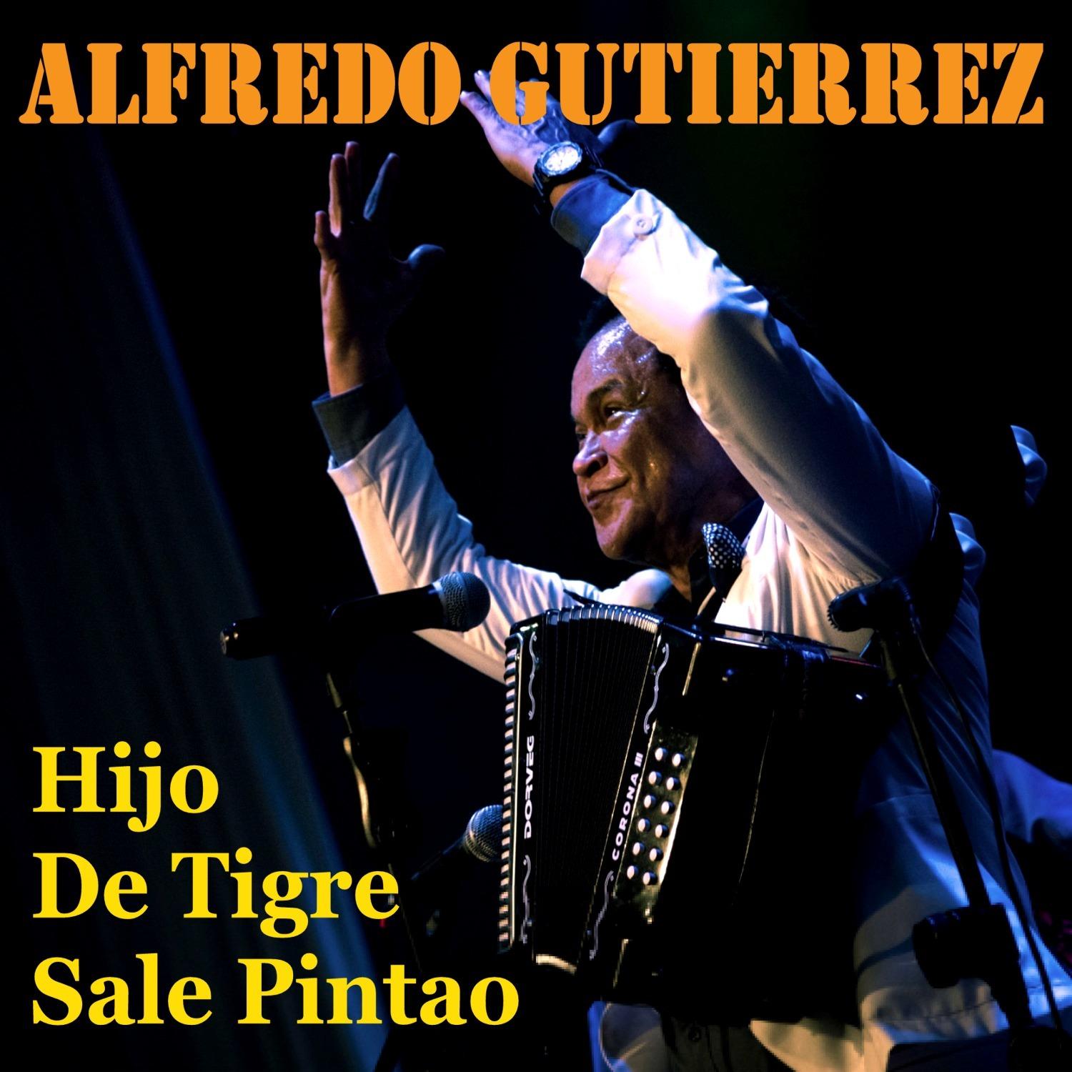 Hijo de Tigre Sale Pintao