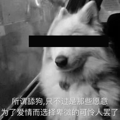 舔狗爱情实录